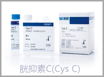 胱抑素C(cys c)